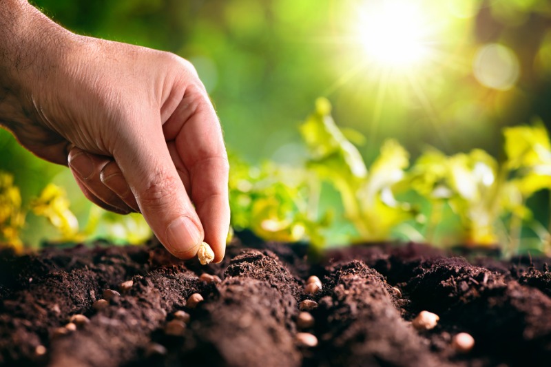 Landscaping Success Starts with Reliable Mulch Companies Near Watertown, WI