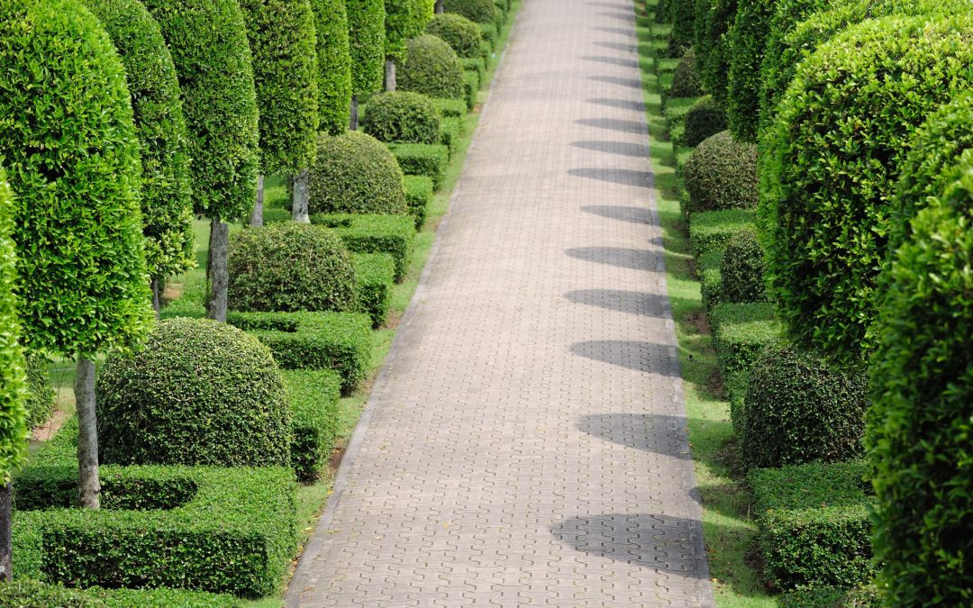 Transform your outdoor space with Landscape Construction Sammamish WA for lasting beauty and value