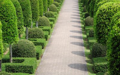 Transform your outdoor space with Landscape Construction Sammamish WA for lasting beauty and value