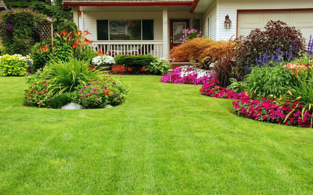 Choosing a Commercial Landscaping Contractor In New Jersey for Lasting Curb Appeal