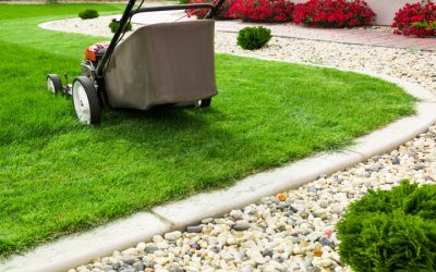 Safeguard Your Lawn Edges Using Curb Edging in Marshall, WI, for a Clean Finish